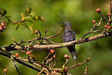 R星联合创始人解释为什么2006年离开公司